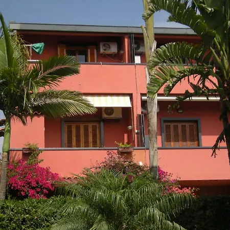 Dolphin Resort